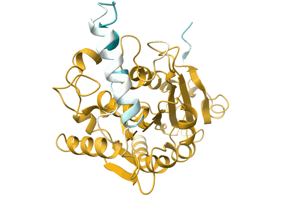 AF-A0A0D2DBA8-F1 image