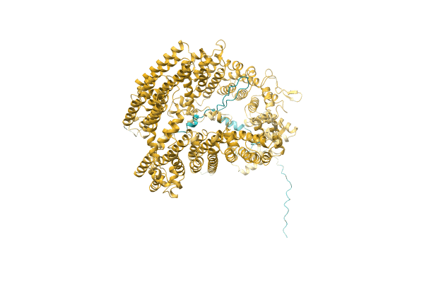 AF-A0A0D2DC08-F1 image