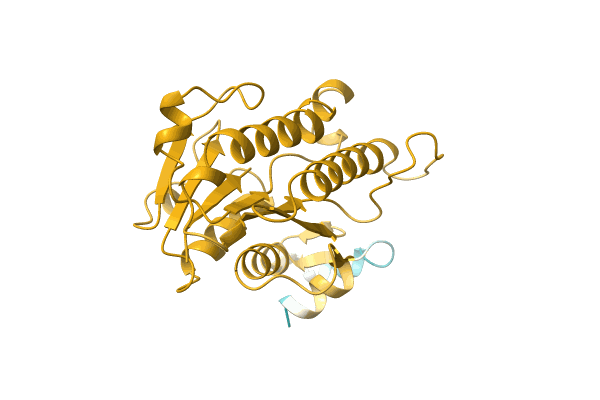 AF-A0A0D2DC72-F1 image