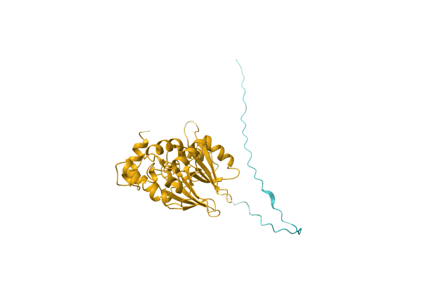 AF-A0A0D2DCS3-F1 image