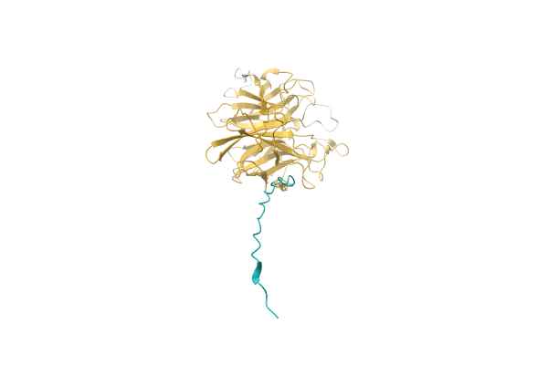 AF-A0A0D2DE28-F1 image