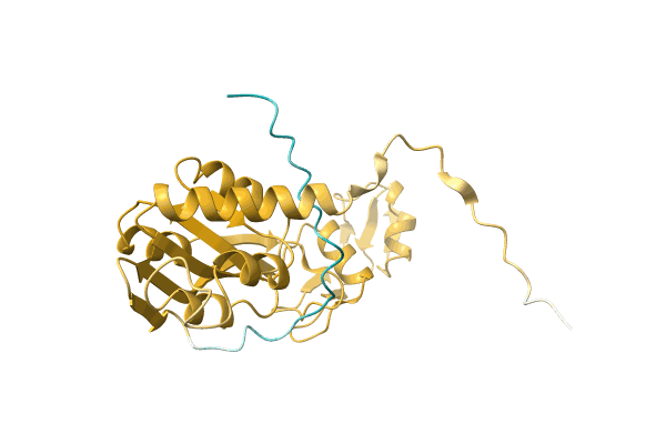 AF-A0A0D2WIY4-F1 image