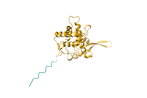 AF-A0A0D2WIY5-F1 image