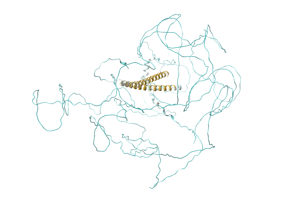 AF-A0A0D2WIZ7-F1 image