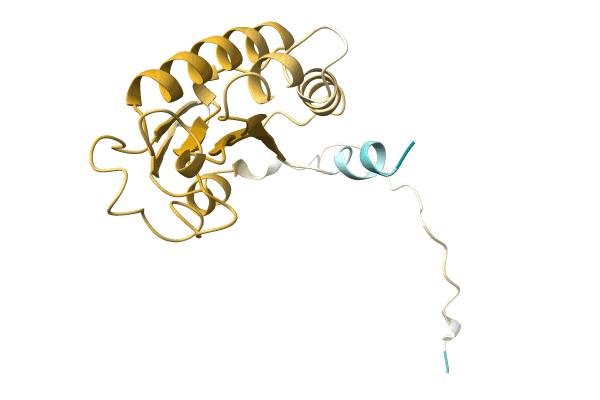 AF-A0A0D3MM86-F1 image