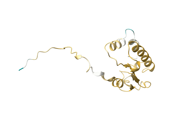 AF-A0A0D3MMJ6-F1 image