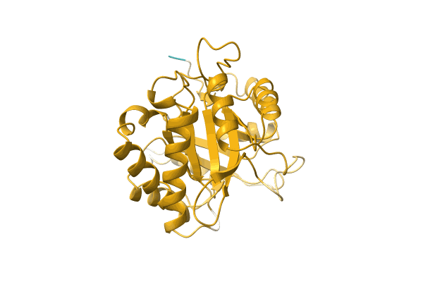 AF-A0A0D4WV12-F1 image