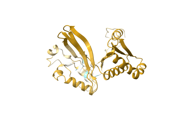 AF-A0A0D5CPH3-F1 image