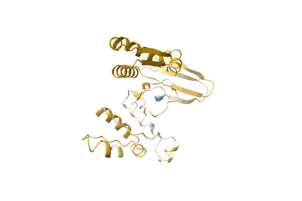 AF-A0A0D5CPM8-F1 image