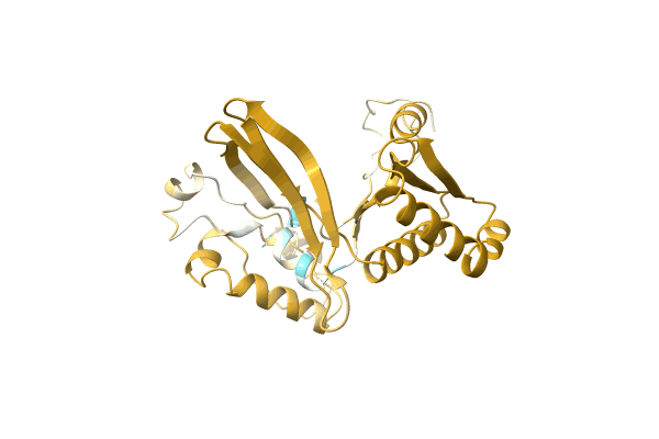 AF-A0A0D5CQ86-F1 image