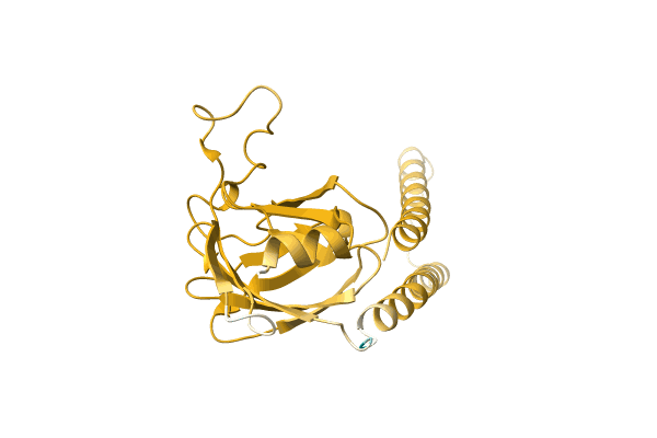 AF-A0A0D5CQK2-F1 image