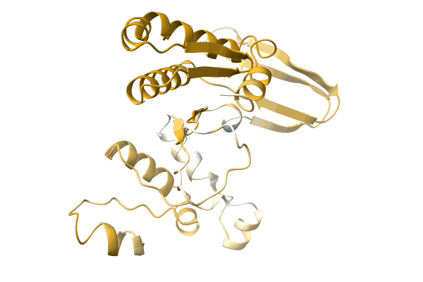 AF-A0A0D5CQM6-F1 image