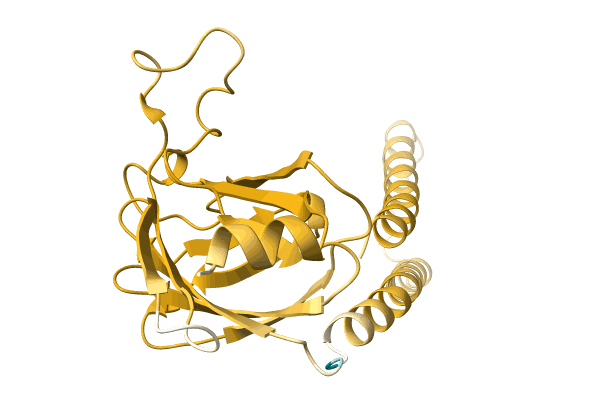 AF-A0A0D5CQT5-F1 image