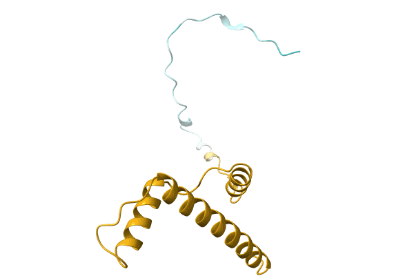 AF-A0A0D5CR06-F1 image