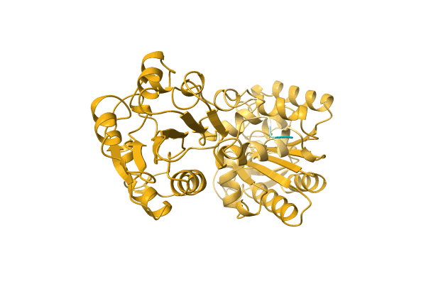 AF-A0A0D5LQ84-F1 image