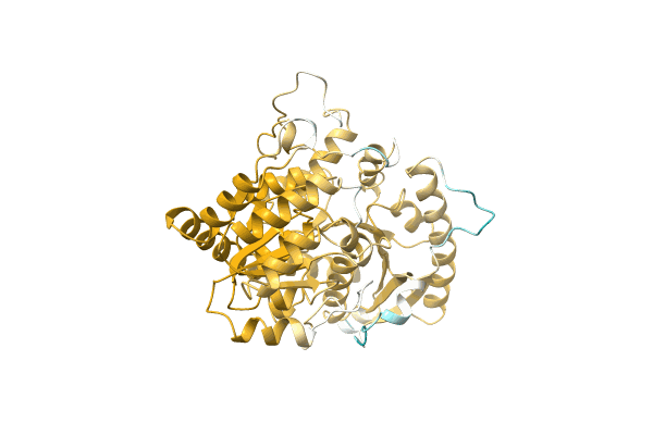 AF-A0A0D5ZDC8-F1 image