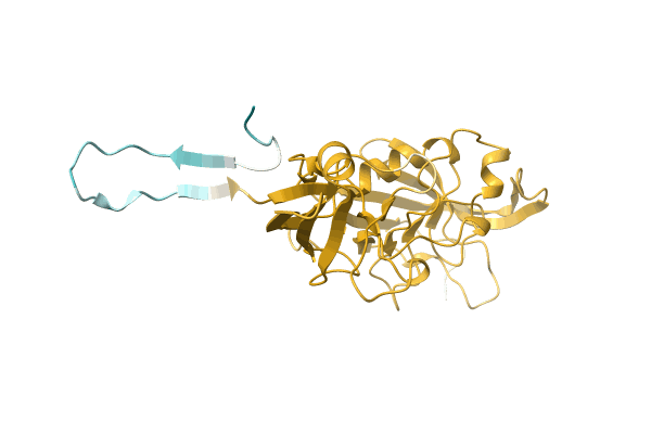 AF-A0A0D6BK44-F1 image