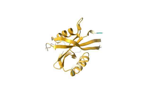 AF-A0A0D6BK47-F1 image