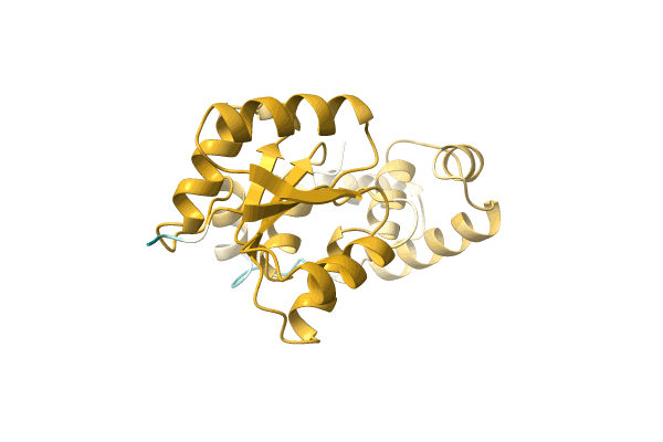 AF-A0A0D6BK54-F1 image