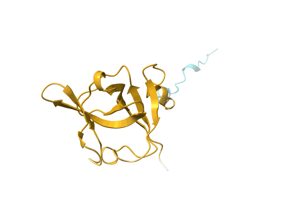 AF-A0A0D6NNE5-F1 image