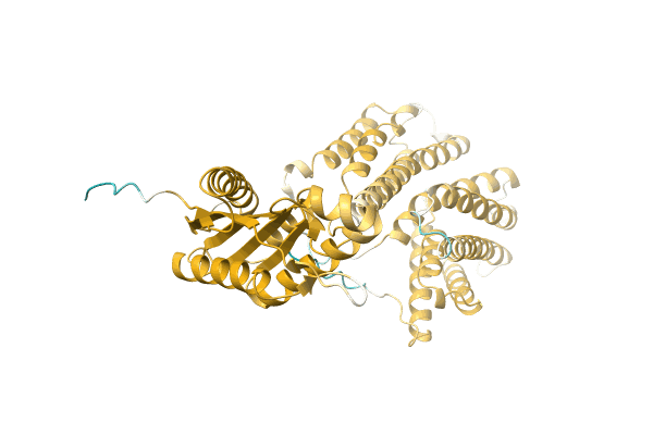 AF-A0A0E1CEG0-F1 image