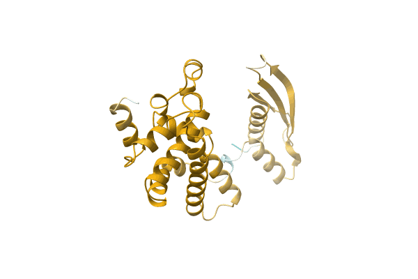 AF-A0A0E1CEH8-F1 image