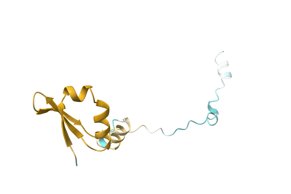 AF-A0A0E2D6E1-F1 image