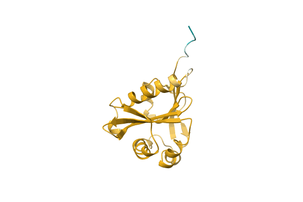 AF-A0A0E2GAK8-F1 image