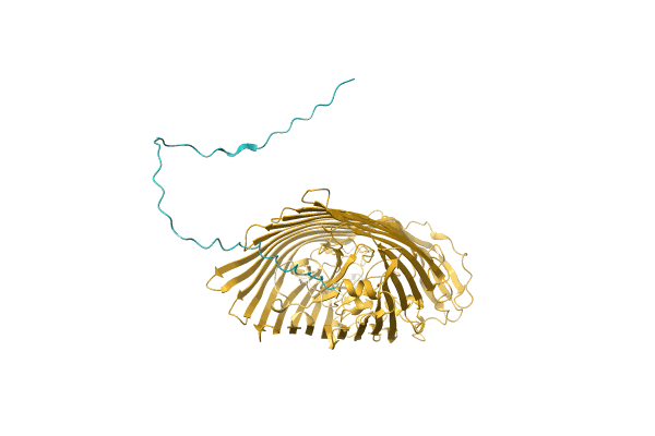 AF-A0A0E2GAL7-F1 image