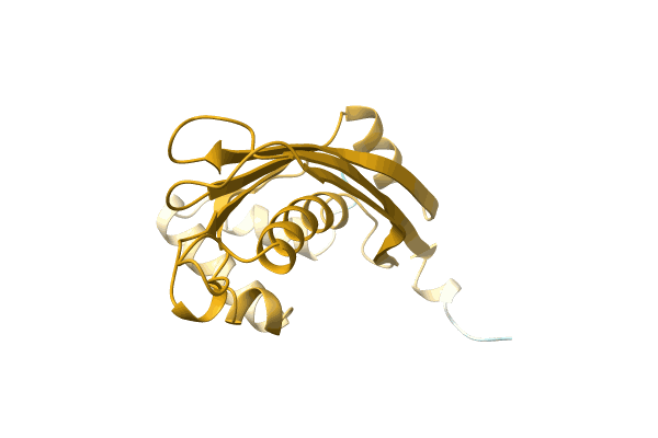 AF-A0A0E2GHT1-F1 image