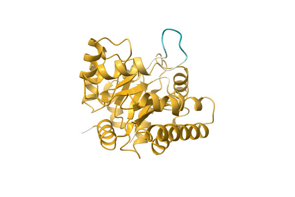 AF-A0A0E2GW80-F1 image