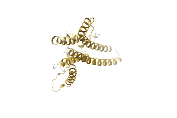 AF-A0A0E3D922-F1 image