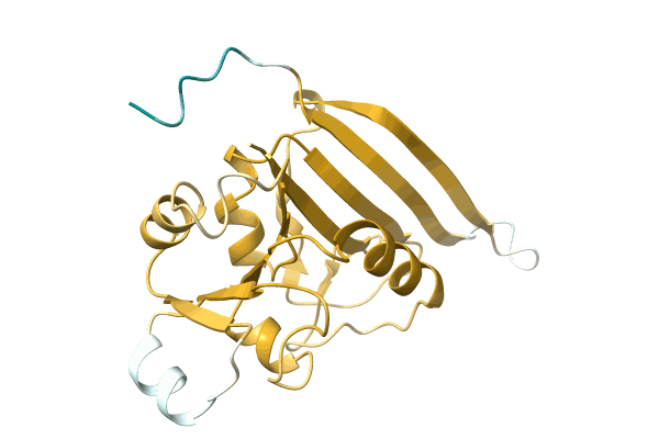 AF-A0A0E3U4G2-F1 image