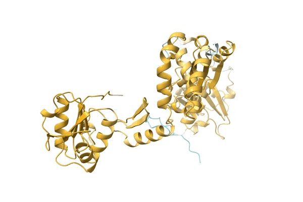 AF-A0A0E3U4H5-F1 image