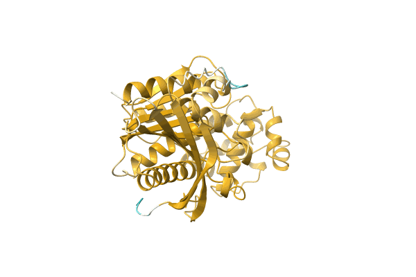 AF-A0A0E3VAS4-F1 image