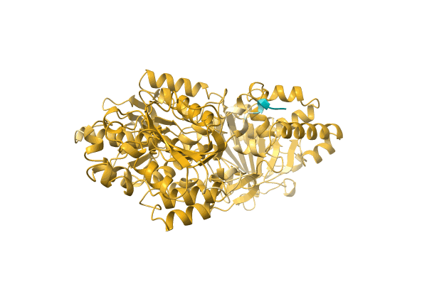 AF-A0A0E3VS41-F1 image
