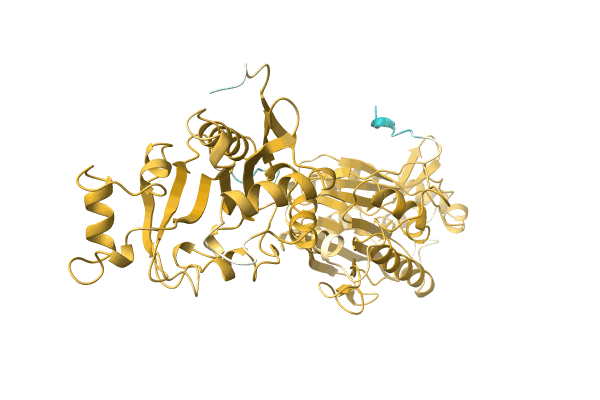 AF-A0A0E9LQQ8-F1 image