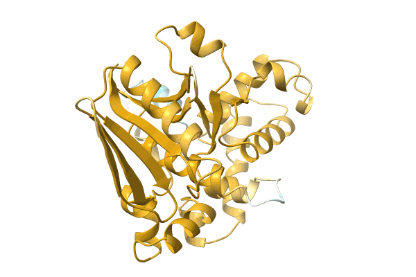 AF-A0A0E9LQW3-F1 image