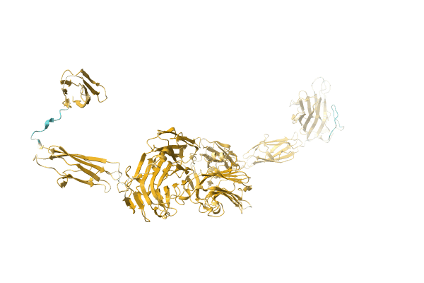 AF-A0A0E9LZ15-F1 image