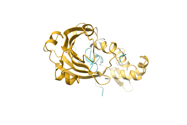 AF-A0A0F1B195-F1 image