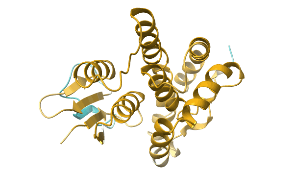 AF-A0A0F5ANH5-F1 image