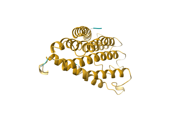 AF-A0A0F6MXB0-F1 image