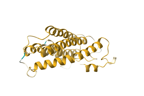 AF-A0A0F7GBR1-F1 image