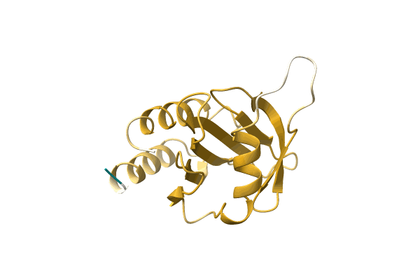 AF-A0A0F8V8L2-F1 image