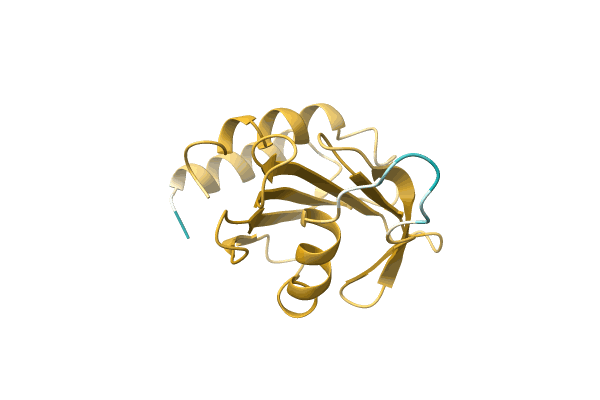 AF-A0A0F8XMN8-F1 image