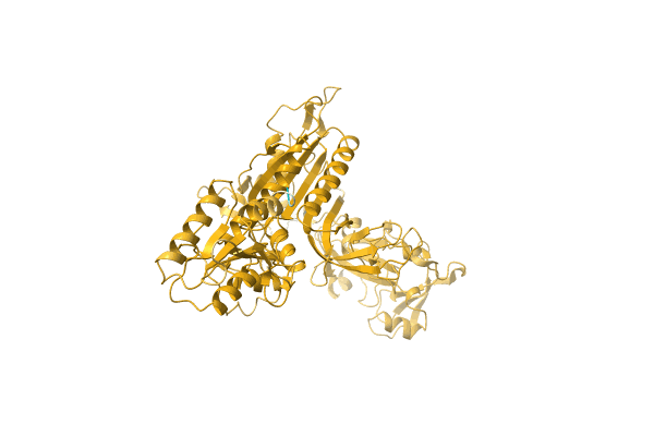 AF-A0A0G0T4D4-F1 image