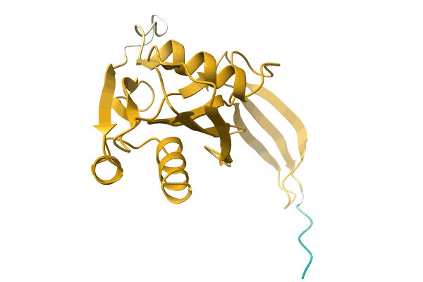 AF-A0A0G0T599-F1 image