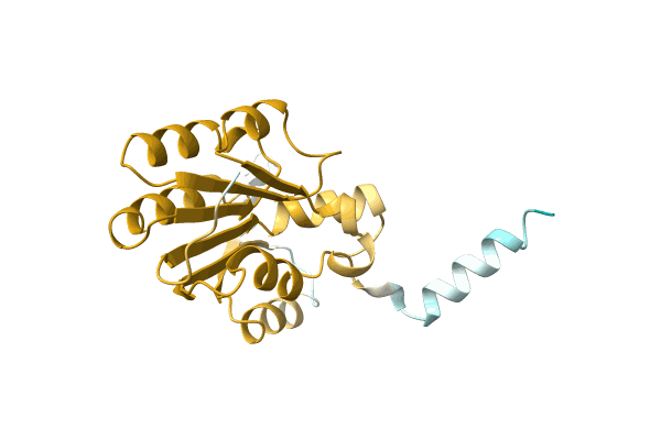 AF-A0A0G1C2I5-F1 image