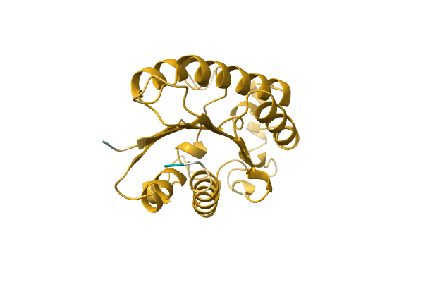 AF-A0A0G1G9I7-F1 image