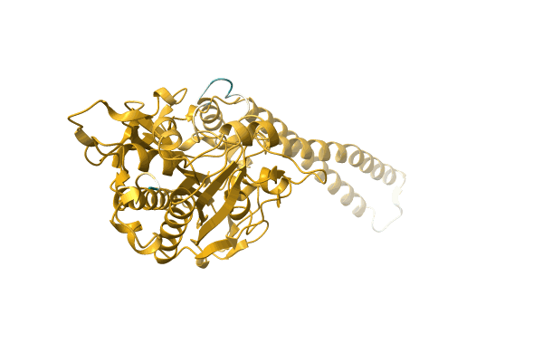 AF-A0A0G1G9Y4-F1 image